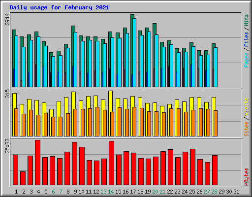 Daily usage for February 2021