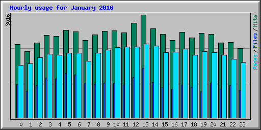 Hourly usage for January 2016
